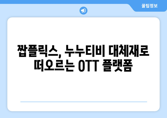 누누티비 대안인 짭플릭스의 OTT 콘텐츠