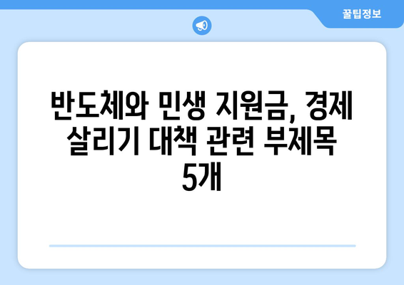 반도체와 민생 지원금, 경제 살리기 대책