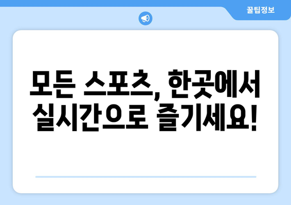 빠른티비, 모든 스포츠 한곳에