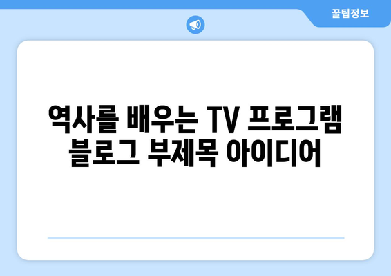 역사를 배우는 TV 프로그램