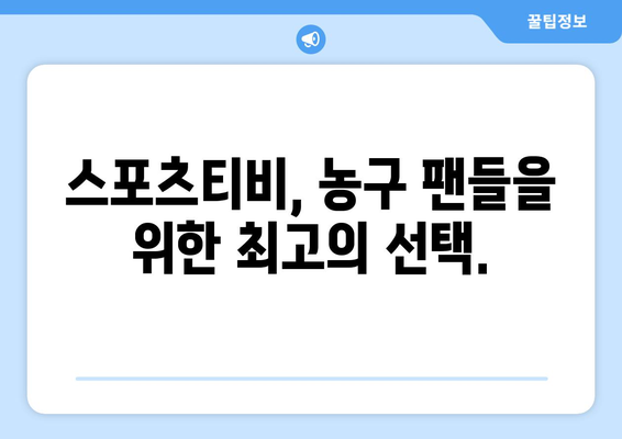 스포츠티비가 선물하는 농구 경기: 몰입적인 시청 경험