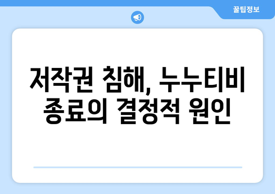 누누티비 종료 이유와 대체 원인 분석