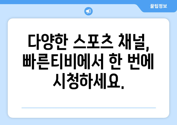 빠른티비: 모든 스포츠를 한곳에서