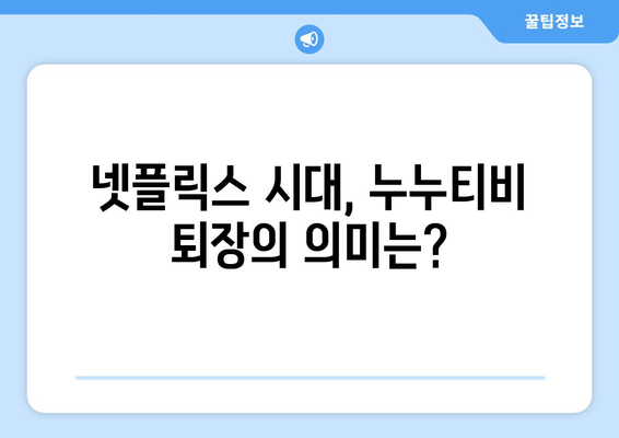 누누티비 퇴장: 넷플릭스 대안으로서의 의미