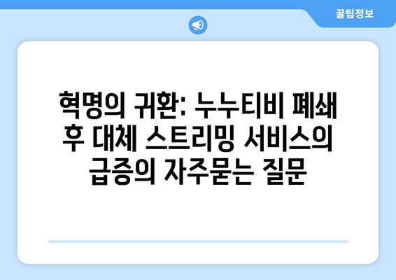 혁명의 귀환: 누누티비 폐쇄 후 대체 스트리밍 서비스의 급증