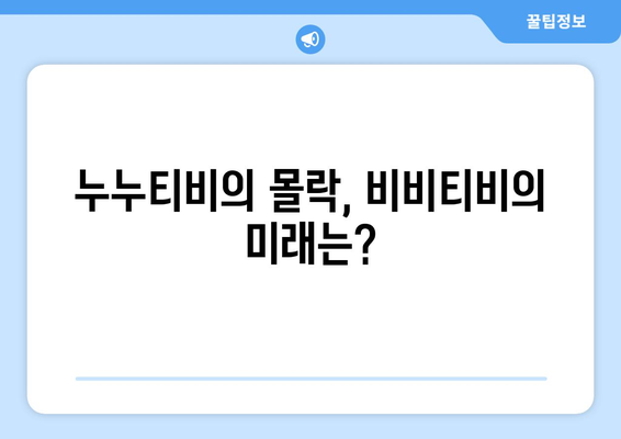 비비티비 대체: 누누티비 후계자가 될까?