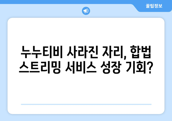 대체 사이트 출현 가능성이 있는 누누티비 서비스 종료