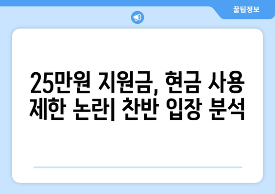 이재명의 25만원 지원금: 현금 대신 처분 가능 법적 조치