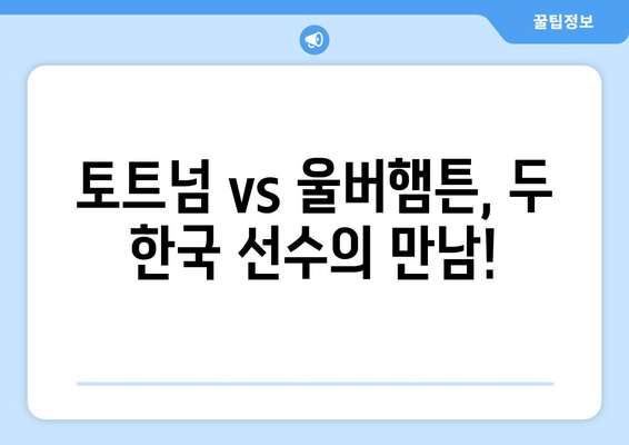 토트넘 vs 울버햄튼, 손흥민과 황희찬이 등장하는 프리미어리그 중계 정보