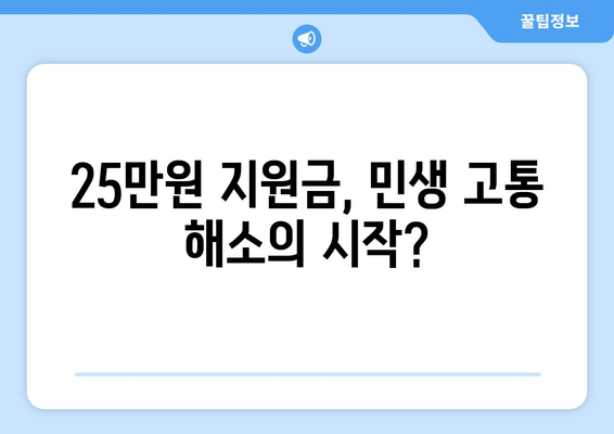 민생 고통 해소를 위한 25만원 지원금: 약속을 행동으로