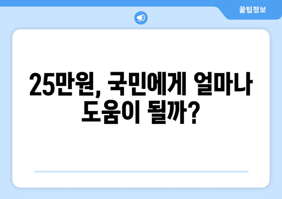 민생지원금 25만원: 실행 가능한 정책인가?