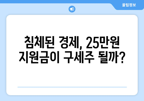 경제 회생의 원동력: 25만원 지원금에 거는 기대