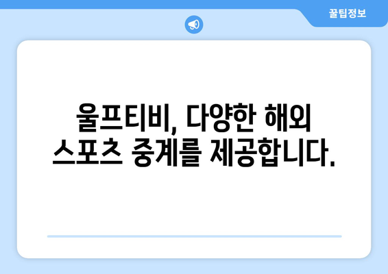 울프티비 챔피언스리그 해외 스포츠 중계