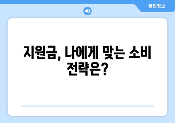 25만원 지원금 지급에 따른 경제적 고려사항