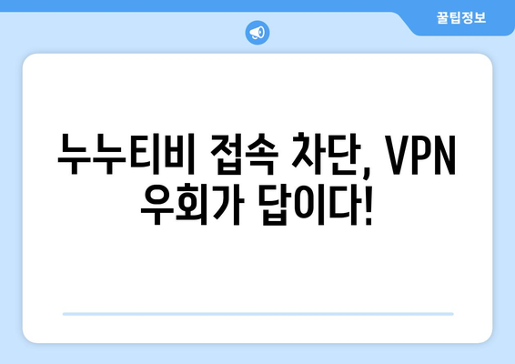 누누티비 대신 사용할 수 있는 VPN 우회 주소 안내