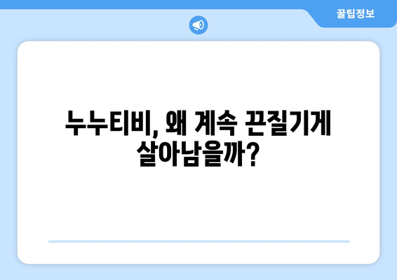 누누티비 대체 사이트: 불법 OTT 서비스가 계속 부활하는 이유