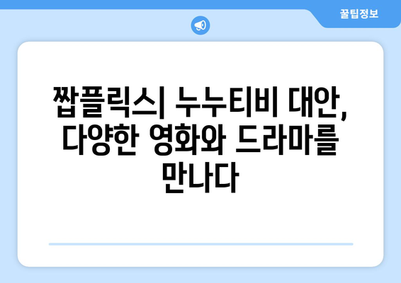 누누티비 대안인 짭플릭스의 OTT 콘텐츠