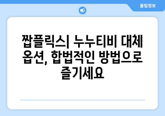 짭플릭스를 통한 누누티비 대체 옵션