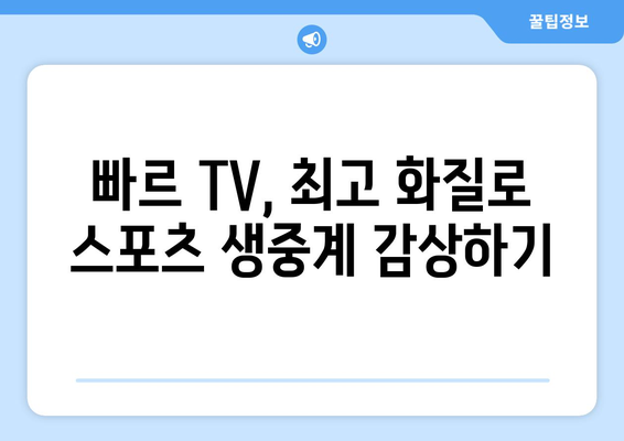 빠르 TV에서 스포츠 중계를 보는 꿀팁 공개