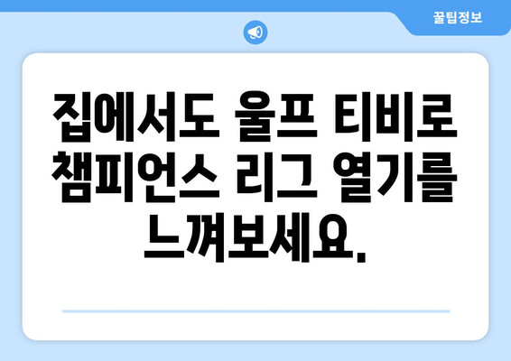 챔피언스 리그 중계 실시간으로 울프 티비에서