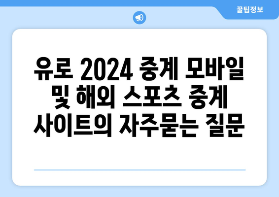 유로 2024 중계 모바일 및 해외 스포츠 중계 사이트