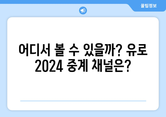 유로 2024 중계권, 스포티비에서 방송되지 않는다