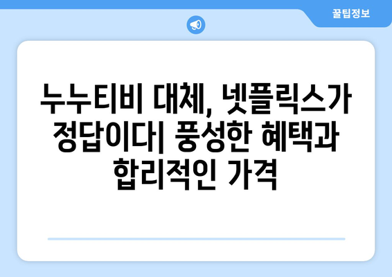 넷플릭스 대체로 최적화: 누누티비 종료 후 대안 탐구