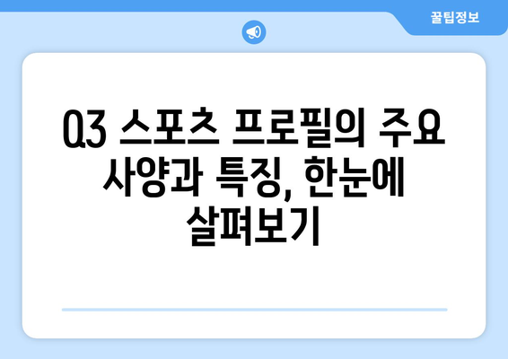 스마트 전기자전거 Q3 스포츠 프로필 사양