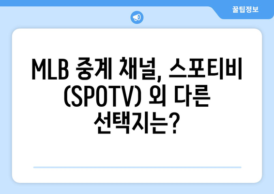 MLB 중계 방법과 스포티비 (SPOTV) 가격