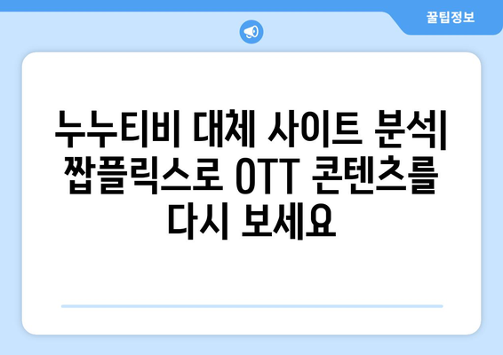 누누티비 대체 사이트 분석: 짭플릭스로 OTT 콘텐츠를 다시 보세요