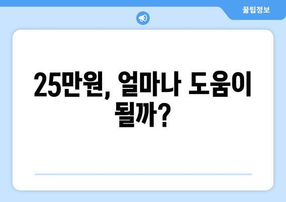 민생회복지원금 25만원: 필요한 지원금인가?