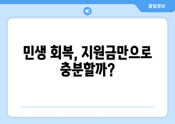 민생회복지원금 25만원: 필요한 지원금인가?