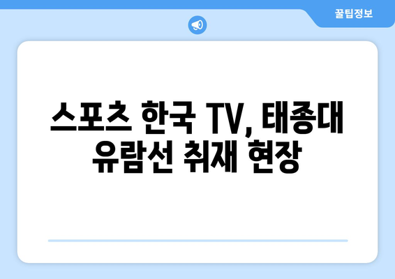 태종대 유람선 취재 및 스포츠 한국 TV 인터뷰 (소현준 기자)