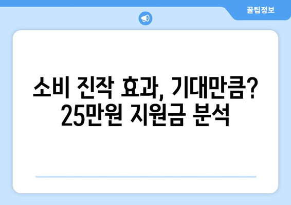 25만원 민생지원금의 실효성에 대한 분석