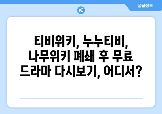 티비위키, 누누티비, 나무위키: 강제 폐쇄 후 무료 다시 보기 방법