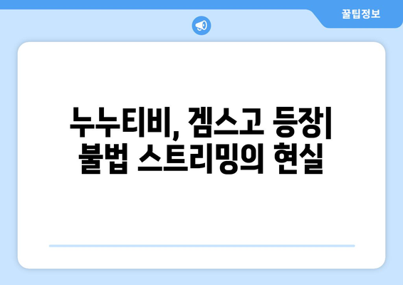 누누티비 대체로 등장한 겜스고: 해결책으로서의 합법성