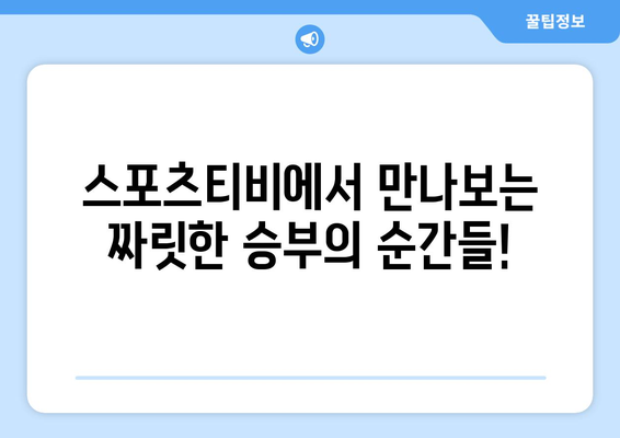 스포츠티비 스포츠 하이라이트로 알아보는 스포츠 소식