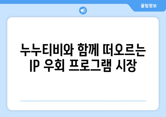 누누티비의 등장으로 IP 우회 프로그램 가치 상승