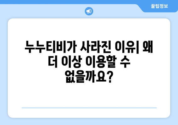 누누티비 대체 이유와 해결 방법