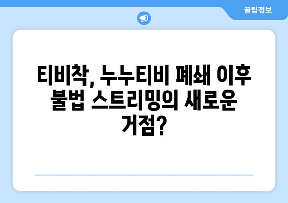 누누티비 대체 사이트 