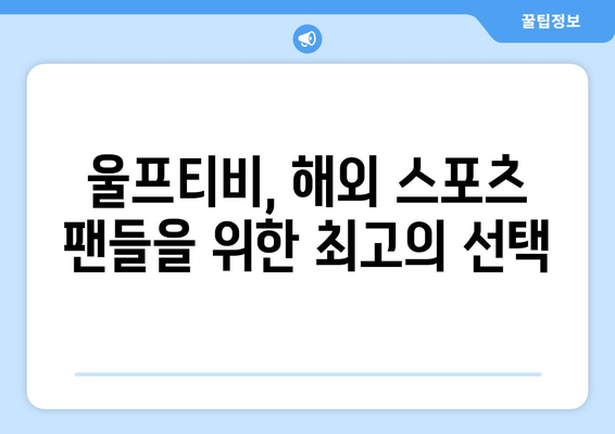 챔피언스리그 중계, 해외 스포츠 중계, 울프티비