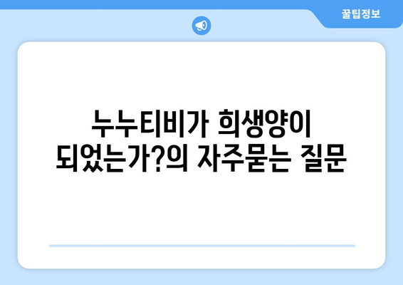 누누티비가 희생양이 되었는가?