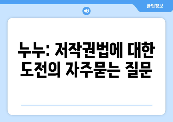 누누: 저작권법에 대한 도전