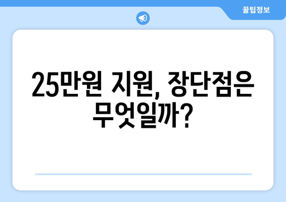 민생지원금 25만원: 실행 가능한 정책인가?