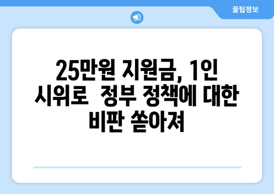 1인 시위로 반대하는 25만원 민생 회복 지원금