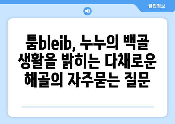 툼bleib, 누누의 백골 생활을 밝히는 다채로운 해골