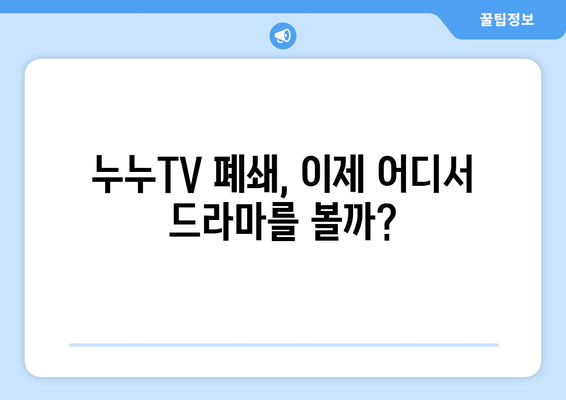 누누TV 불법복제 사이트 폐쇄, 대체 플랫폼 탐색