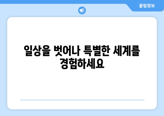 마법 같은 세계에 대한 이야기