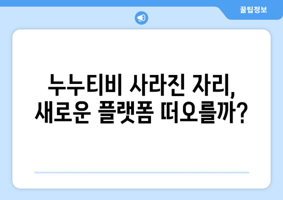 대체 사이트 가능성을 남긴 누누티비 종료