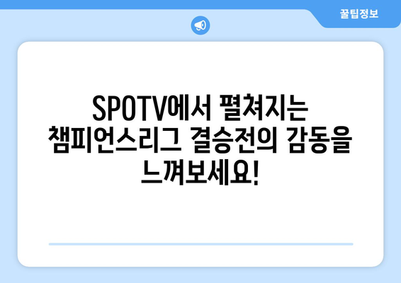 챔피언스리그 결승전 개최: SPOTV 이벤트